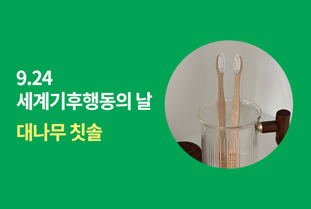 9.24 세계기후행동의 날 대나무 칫솔