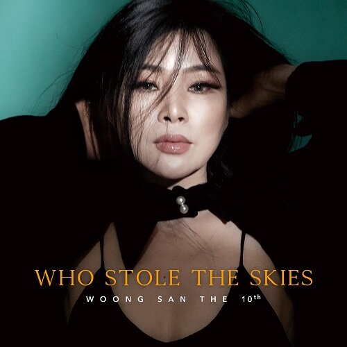 웅산 - 정규 10집 Who Stole the Skies