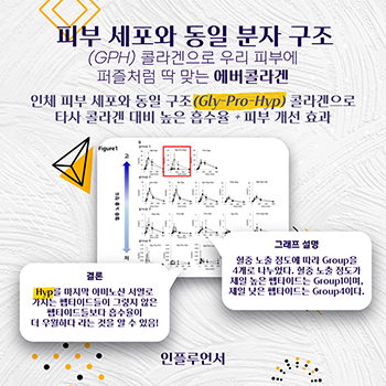 에버콜라겐 인스타 피드 디자인