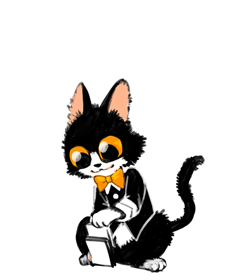 카드섞는 고양이